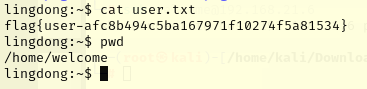 image-20250607173327106